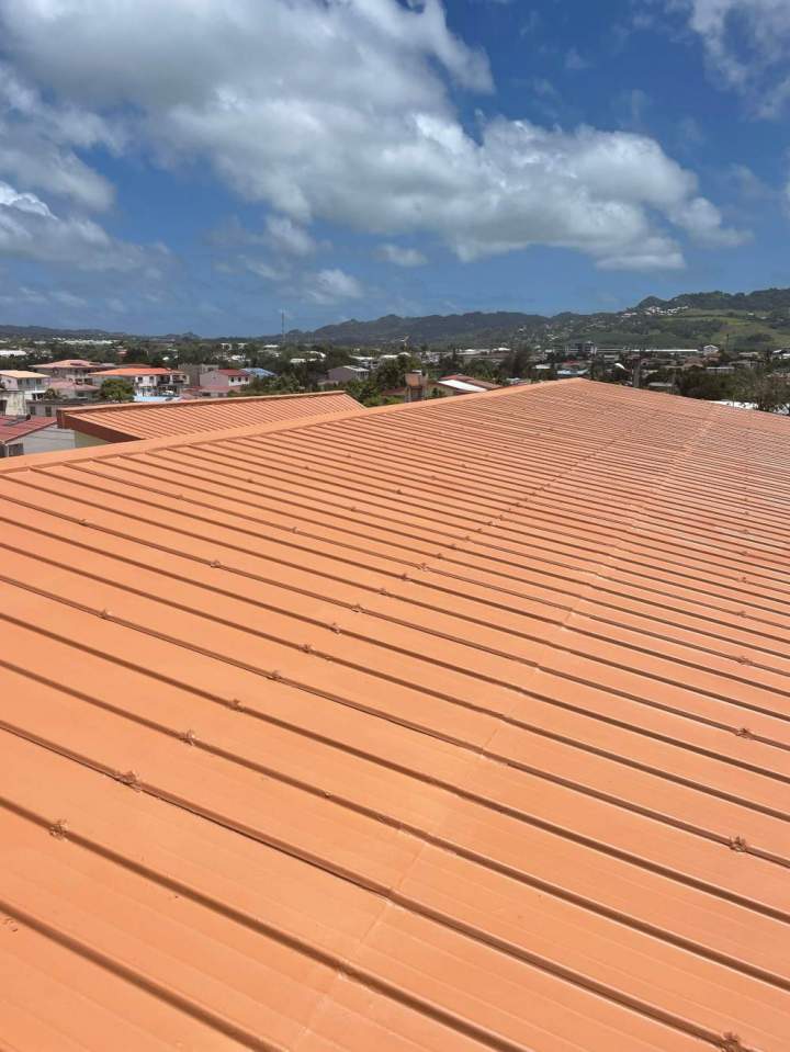 Couvreur professionnel Martinique