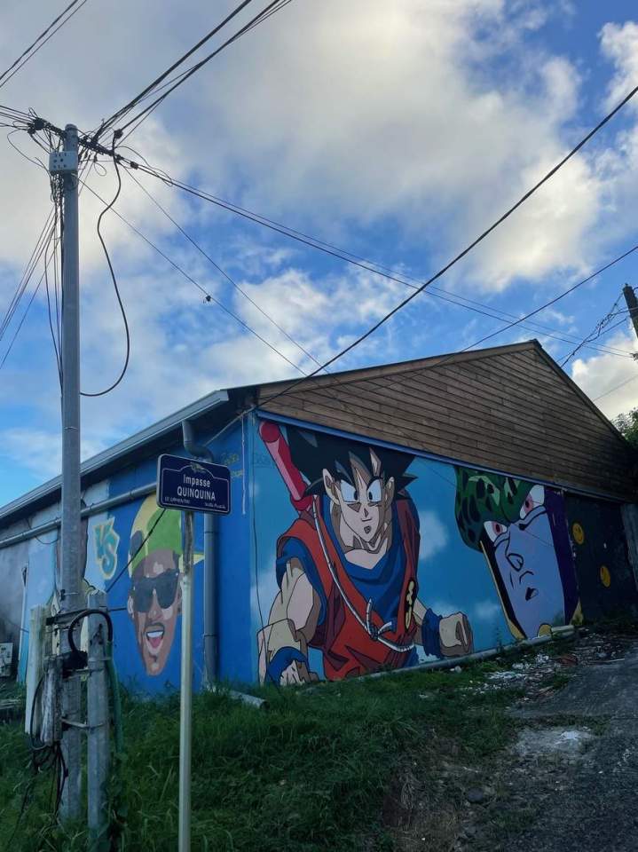 Travaux toiture de qualité Martinique